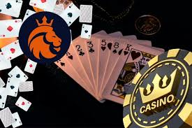 Casino Intense 2025: La Scelta dei Giocatori